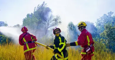 Incendies : « On utilise le feu pour combattre le feu »… Comment les pompiers luttent même quand il n’y a pas d’eau
